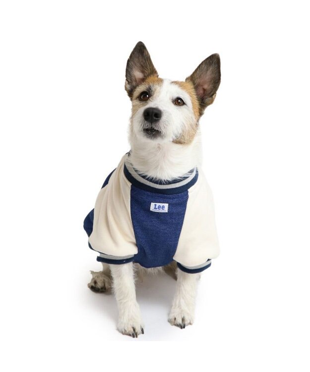 PET PARADISE Lee スタジャン 小型犬 ネイビー