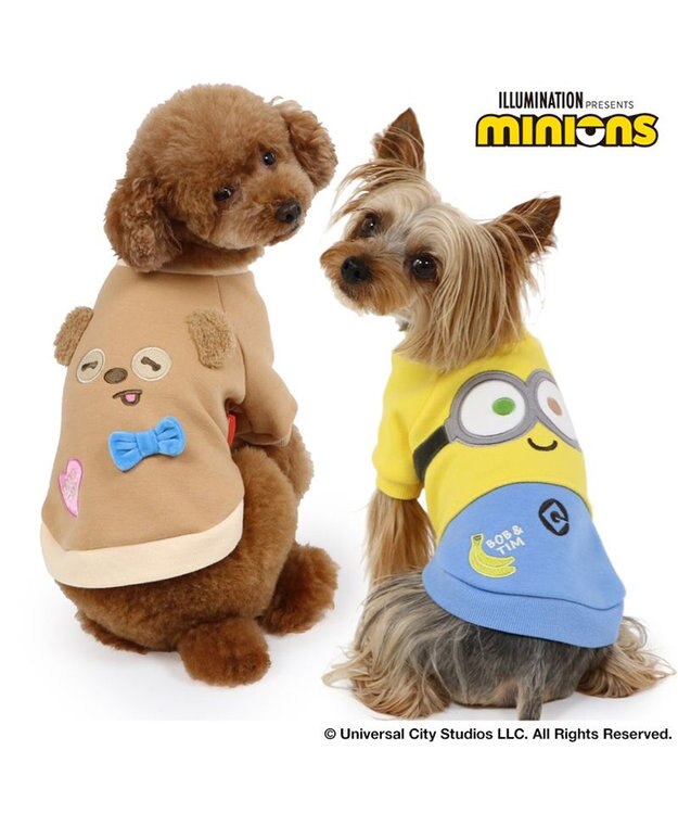 ペットパラダイス　ミニオン　夏　洋服　犬用　2個セット　お揃い　DS Sサイズ ミニオン ティム バケットハット付き Tシャツ 小型犬 / PET
