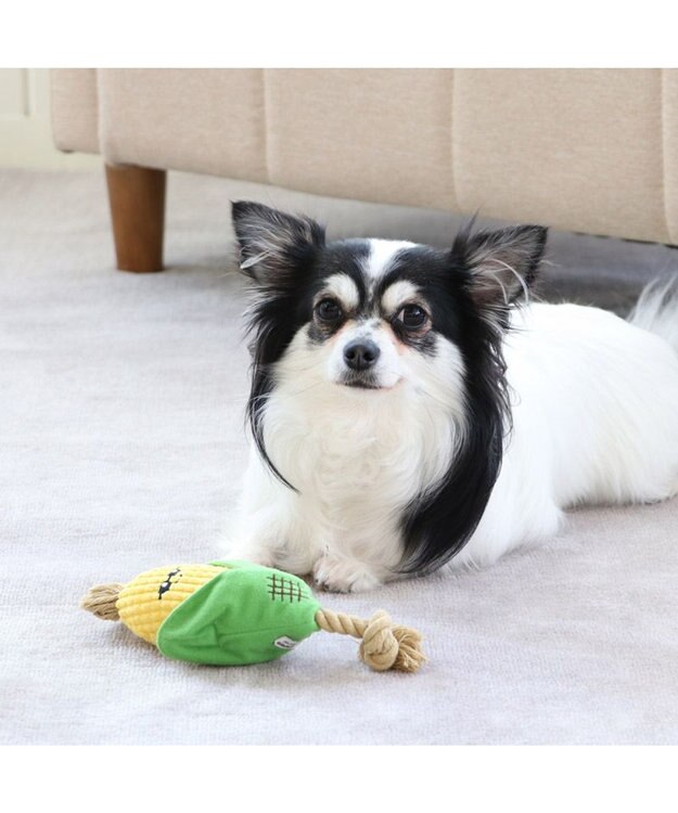 PET PARADISE 犬用品 ペットグッズ 犬 おもちゃ ペットパラダイス 犬 トイ TOY 焼きもろこし おもちゃ | 音が鳴る ぬいぐるみ ボール ロープ オモチャ 玩具 トイ TOY 小型犬 猫 かわいい おもしろ インスタ映え 黄