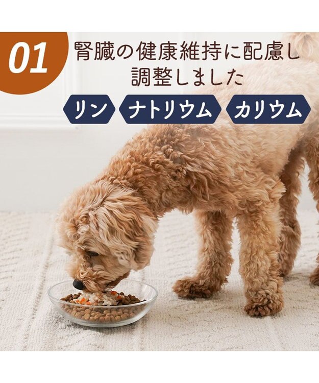 PET PARADISE 愛犬にやさしい スープごはん 鶏 0