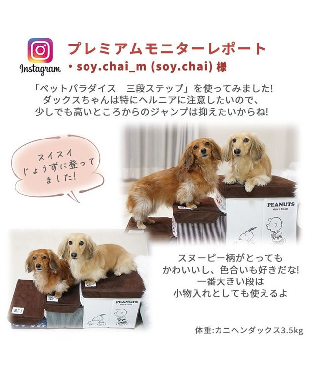 犬 ステップ 階段 スヌーピー 3段 ステップ 収納付きフレンズ柄