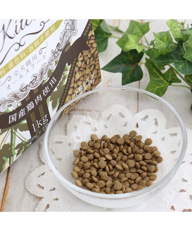 PET PARADISE ≪配合リニューアル≫  ペットパラダイス 国産 ドッグフード ビオキッチン 1kg -