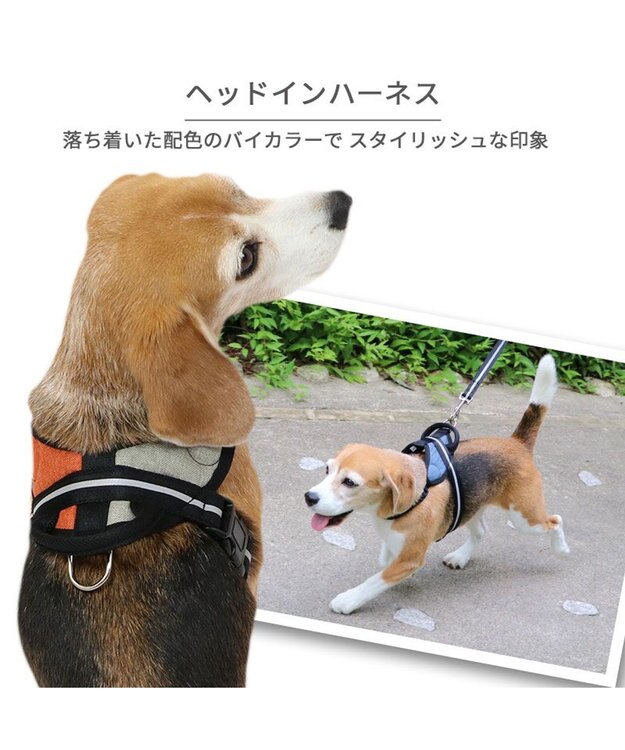PET PARADISE ヘッドインハーネス  【ＳＭ】 オレンジ / ブルー 【中型犬】 オレンジ×グレー