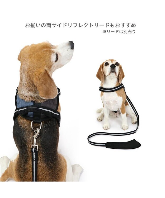 PET PARADISE ヘッドインハーネス  【SM】 オレンジ / ブルー 【中型犬】 ブルー×ブラウン