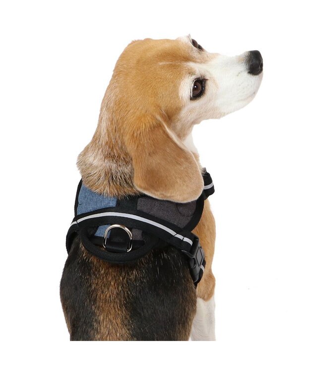 PET PARADISE ヘッドインハーネス  【ＳＭ】 オレンジ / ブルー 【中型犬】 ブルー×ブラウン