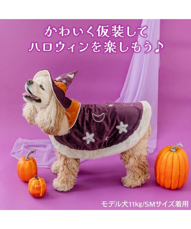 PET PARADISE ペットパラダイス 魔法つかいマント 中型犬 大型犬 パープル