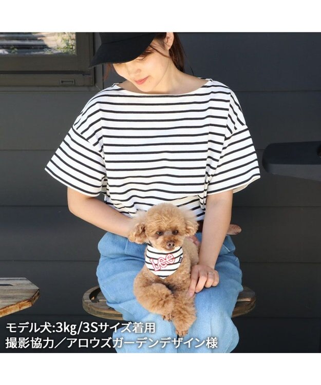 PET PARADISE Ｌｅｅ 冷感バンダナ 《ボーダー》 小型犬 ボーダー
