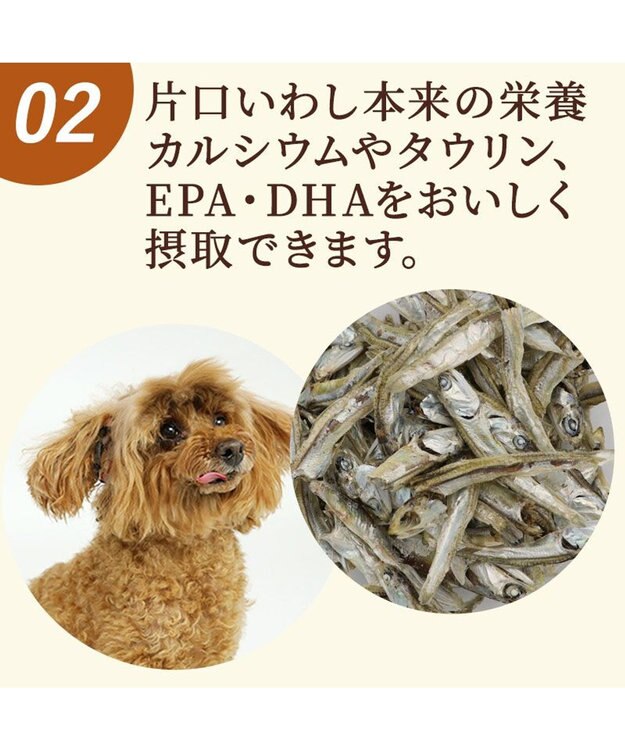 PET PARADISE ペットパラダイス 猫用おやつ 塩無添加 片口いわし 40g 0