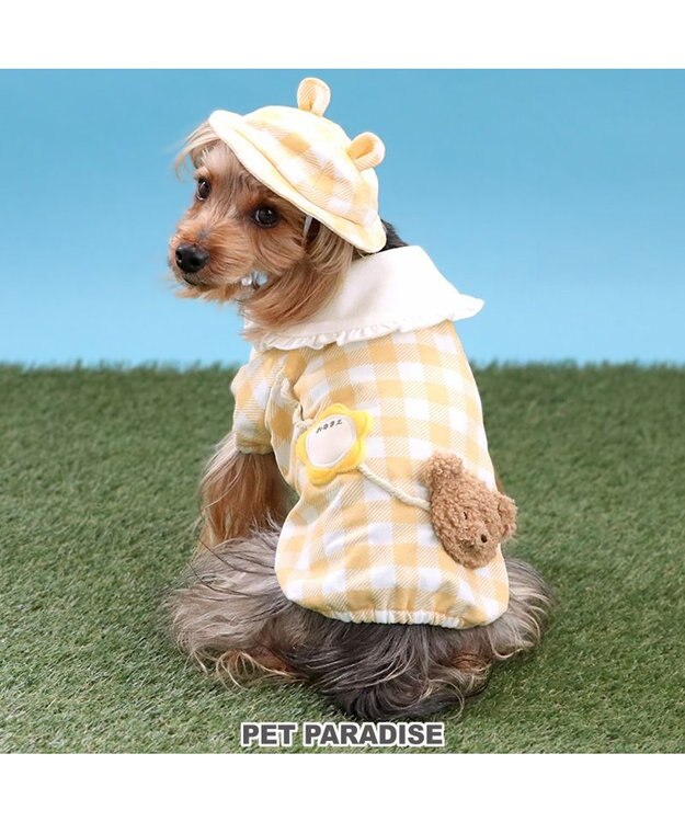 PET PARADISE ペットパラダイスなりきり くまちゃん 園児服 《チェック柄》 小型犬 チェック柄