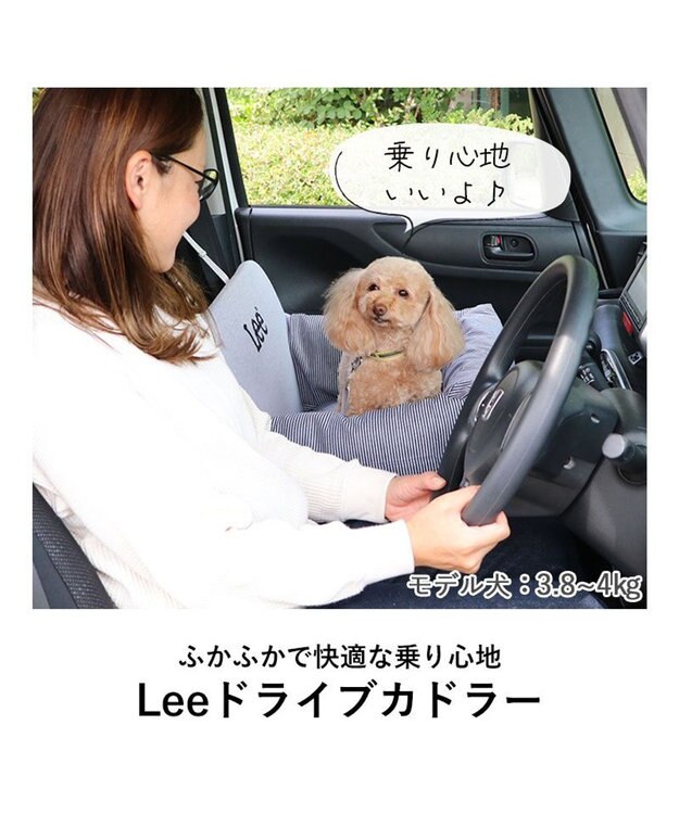ゴリパラ見聞録　特典　カーシェード　新品 ゴリパラ見聞録 特典 カーシェード 新品 ゴリパラ見聞録