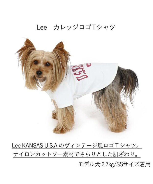犬の服 犬 Lee tシャツ 【小型犬】 カレッジ / PET PARADISE