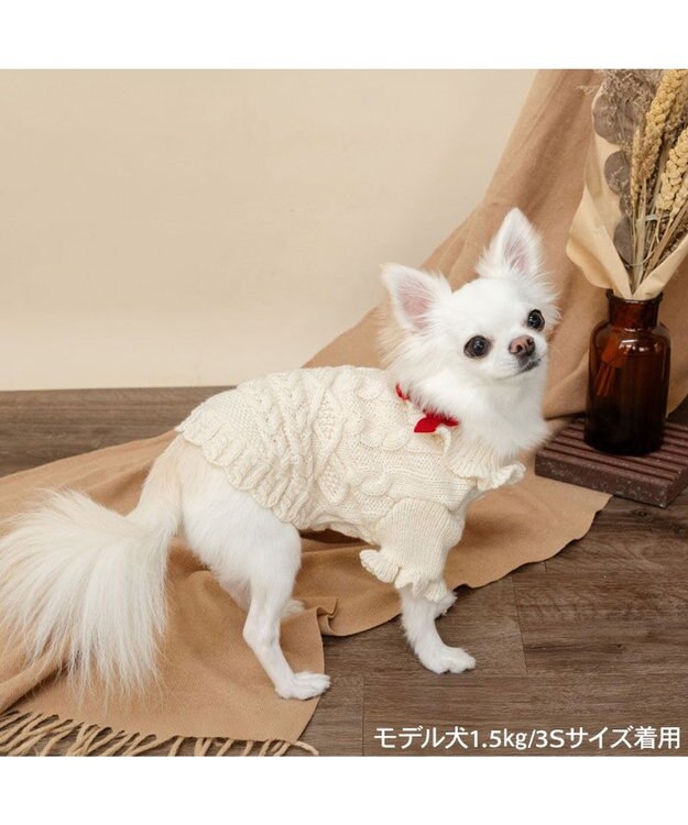 PET PARADISE ペットパラダイス フリルアランセーター 小型犬 ホワイト