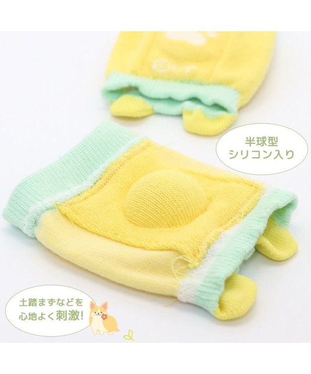 ❣❣希少❣❣　毛皮(スプリングボック)の敷物 マザーガーデン ふわんこ コーギー 足ツボ押し 靴下 ソックス