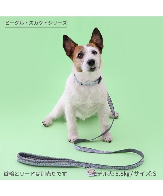 PET PARADISE スヌーピー 首輪 《 ビーグルスカウト》 S 小型犬 ビーグルスカウト