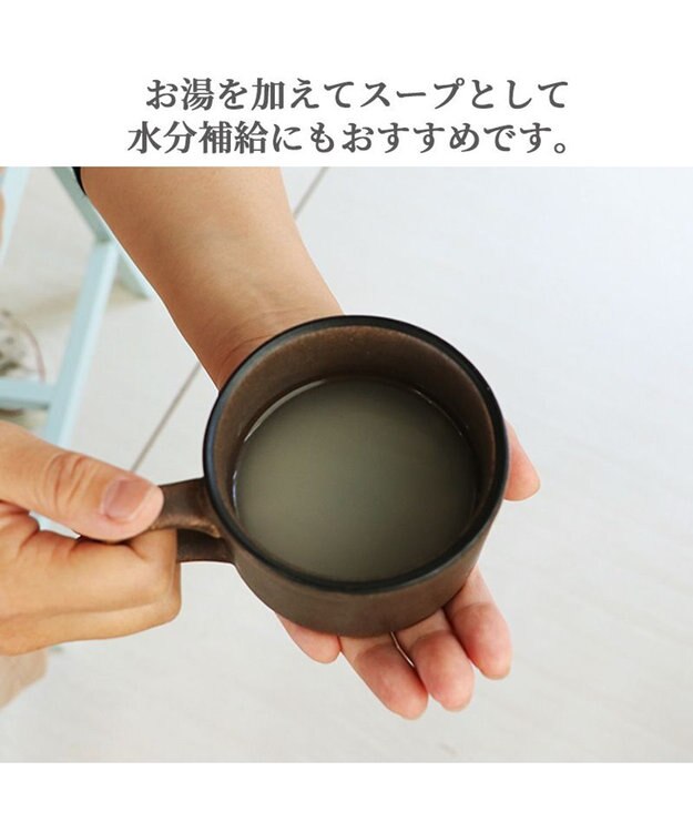 PET PARADISE リアルフードスティック フローラケア 10g×8本 国産 -