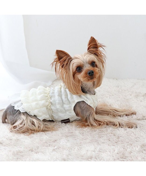 PET PARADISE ペットパラダイス ぽこぽこ ワンピース 《ホワイト》 小型犬 ホワイト