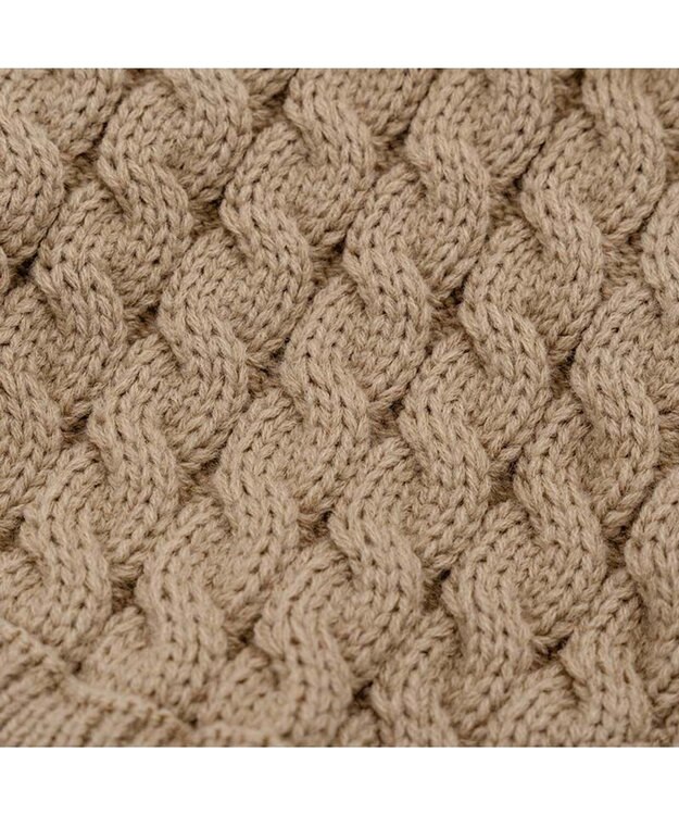 PET PARADISE ペットパラダイス バイカラー ニット 《ベージュ》 小型犬 ベージュ