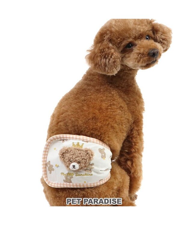 PET PARADISE ペットパラダイス 王冠くまちゃん マナーベルト  小型犬 ホワイト
