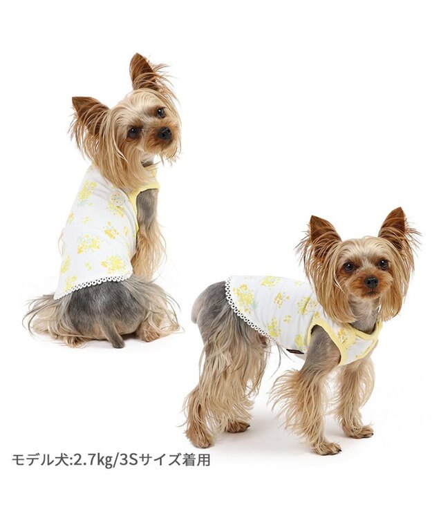 PET PARADISE ペットパラダイス はじめてタンクトップ 《ミモザ柄》 小型犬 ミモザ柄