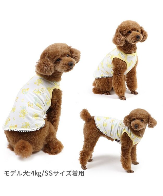 PET PARADISE ペットパラダイス はじめてタンクトップ 《ミモザ柄》 小型犬 ミモザ柄
