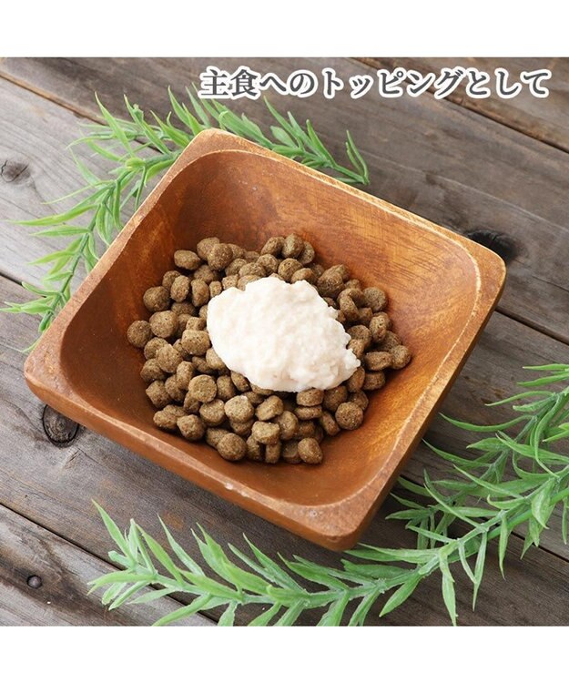 PET PARADISE リアルフードスティック フローラケア 10g×8本 国産 -