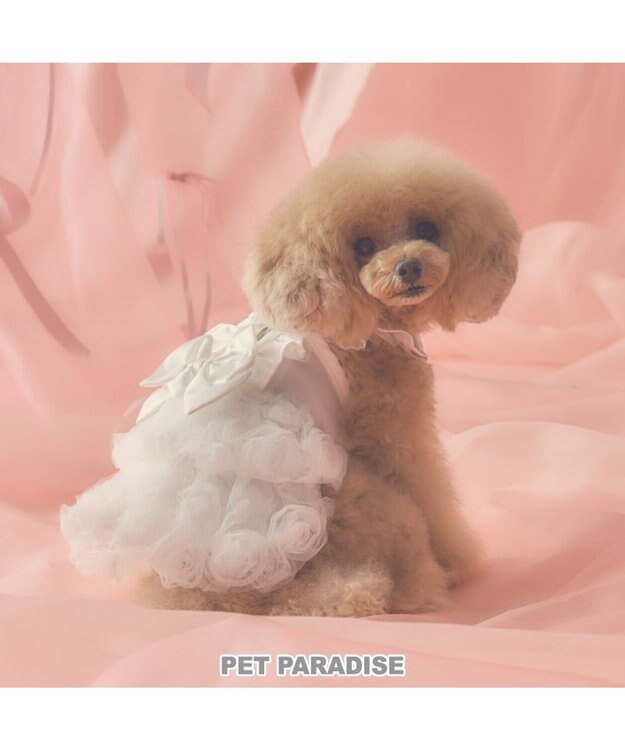 PET PARADISE cherircouture ローズチュールワンピース 《ホワイト》 小型犬 ホワイト