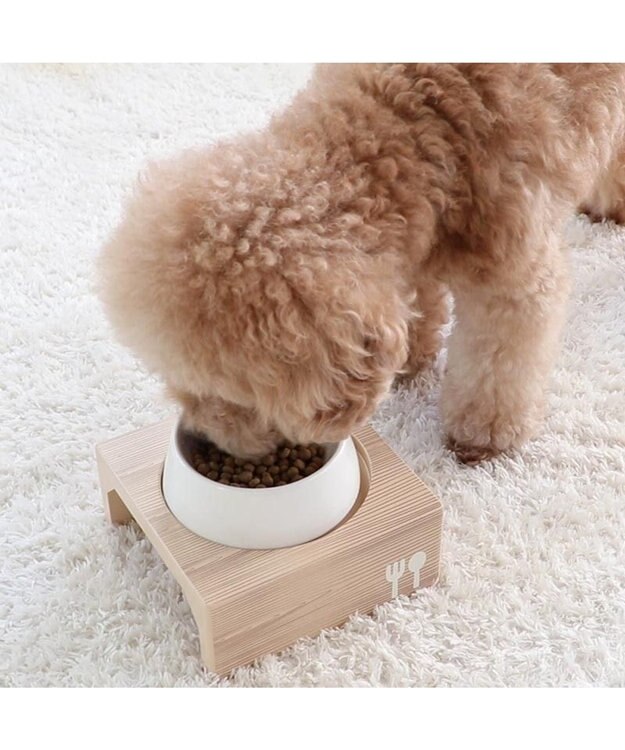 PET PARADISE ペットパラダイス 国産 ドッグフード フローラ 1kg -