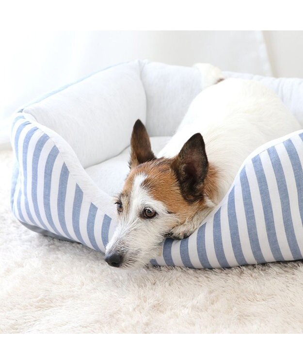 PET PARADISE ペットパラダイス　ストライプカドラー《 ブルー》 小型犬 ストライプ ブルー