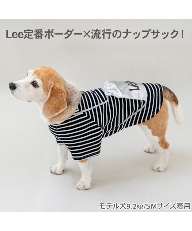 PET PARADISE Lee ナップサックＴシャツ シルバー 中型犬 大型犬 0