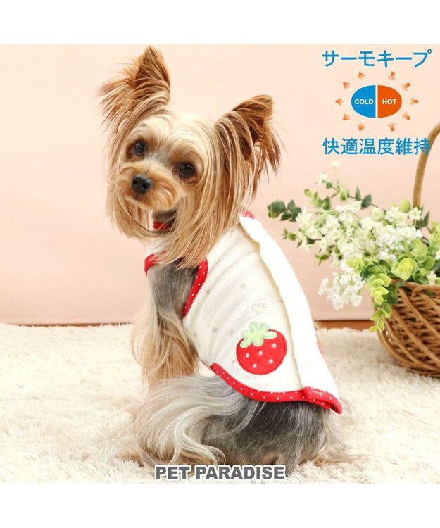 PET PARADISE ペットパラダイス サーモキープ タンクトップ  苺柄 【小型犬】 白~オフホワイト