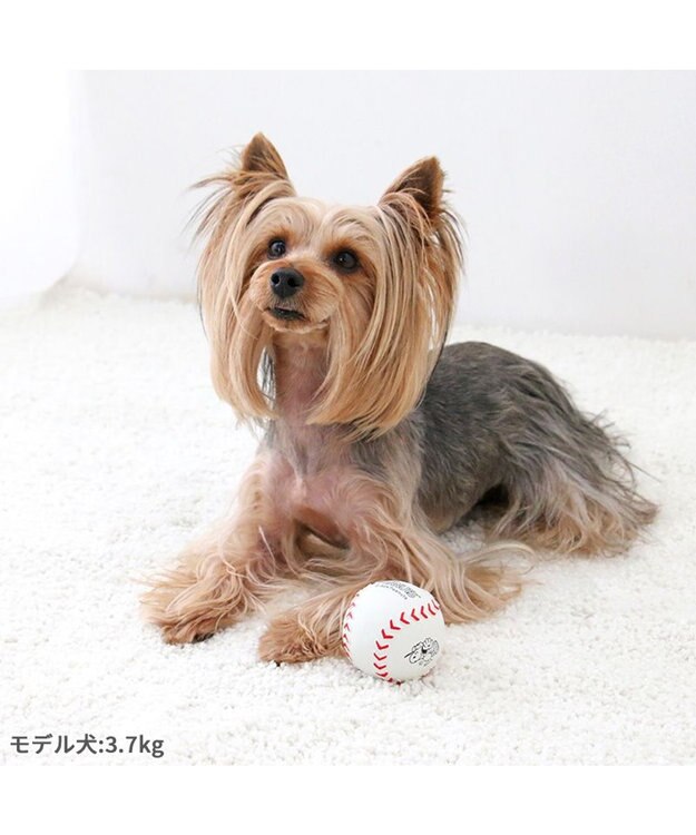スヌーピー 野球 ラテックストイ 小型犬 超小型犬 / PET