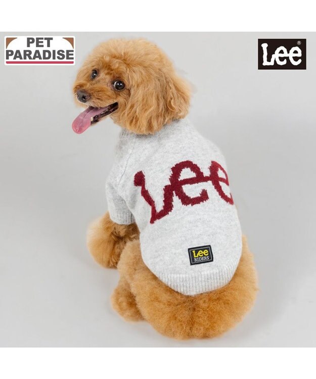 PET PARADISE Lee モヘア ロゴニット 《グレー》 小型犬 グレー