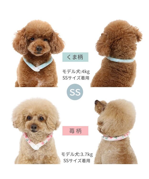 PET PARADISE ペットパラダイス 28℃クールリング SUO 《いちご柄》 〔SS〕 小型犬 いちご