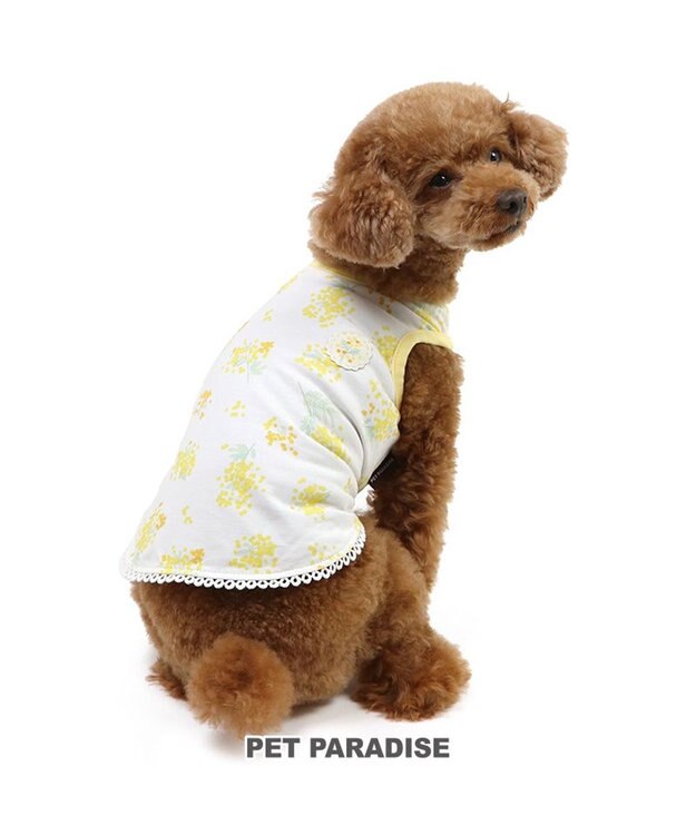 PET PARADISE ペットパラダイス はじめてタンクトップ 《ミモザ柄》 小型犬 ミモザ柄