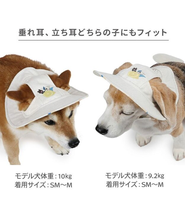 PET PARADISE リサとガスパール シトラス リネン 帽子 ＳＭ～Ｍ/Ｌ 中型犬 大型犬 ベージュ