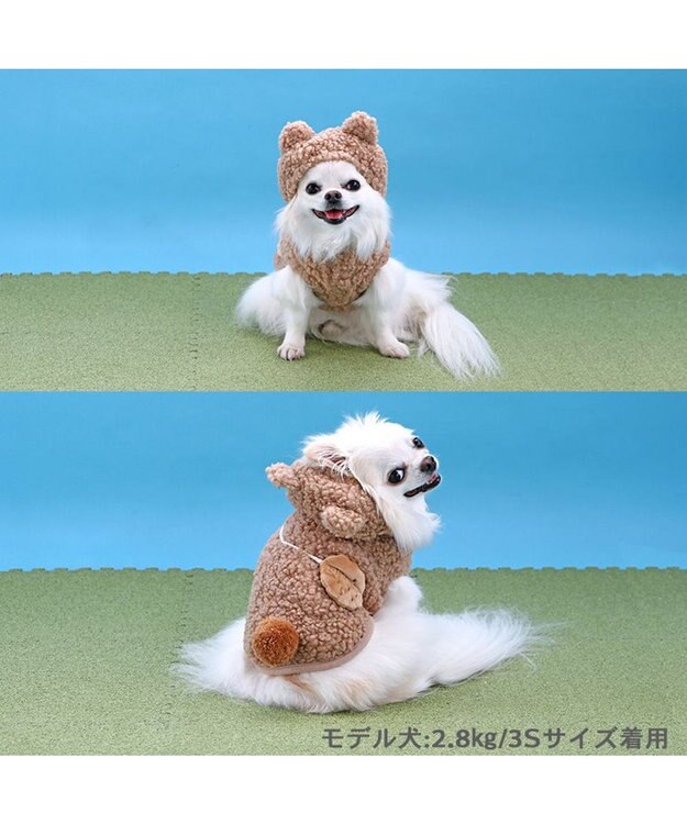 PET PARADISE ペットパラダイス なりきりくま 小型犬 ブラウン