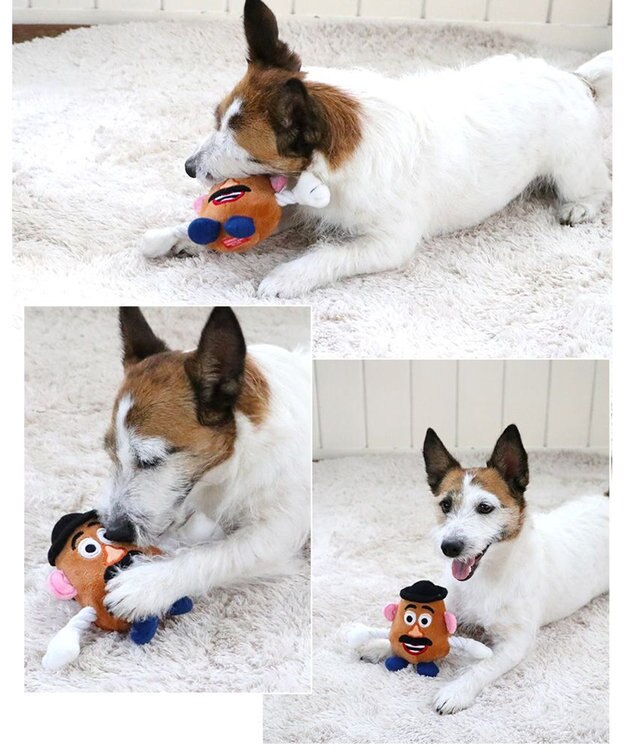 PET PARADISE ディズニー トイ・ストーリー ポテトヘッドトイ ポテトヘッド