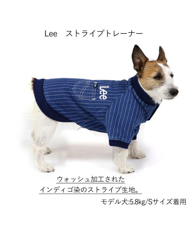 PET PARADISE 犬の服 犬 冬服 トレーナー Lee【小型犬】 ストライプ 紺（ネイビー・インディゴ）