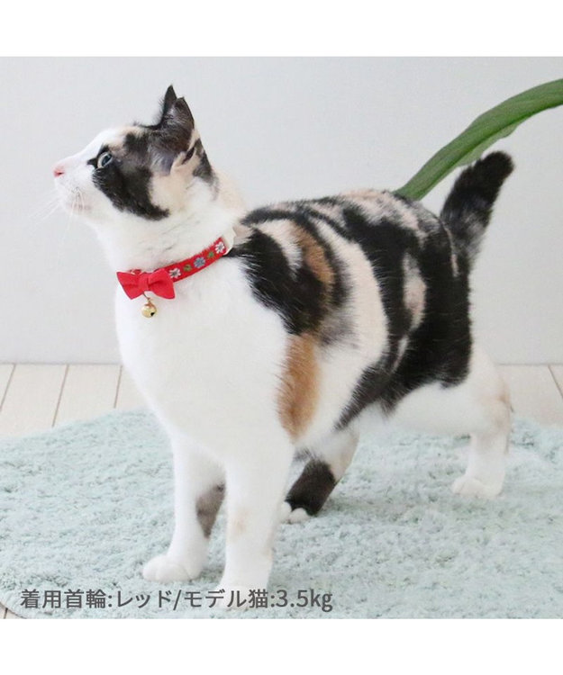 PET PARADISE ペットパラダイス 猫 首輪 チロリアン 《レッド》 レッド