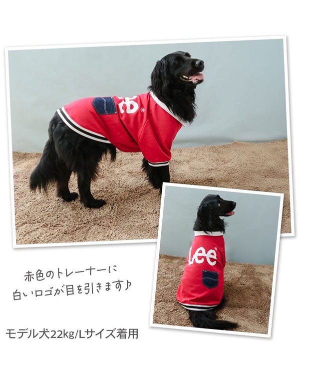 PET PARADISE Lee ジップUP トレーナー 《レッド》 中型犬 大型犬 レッド