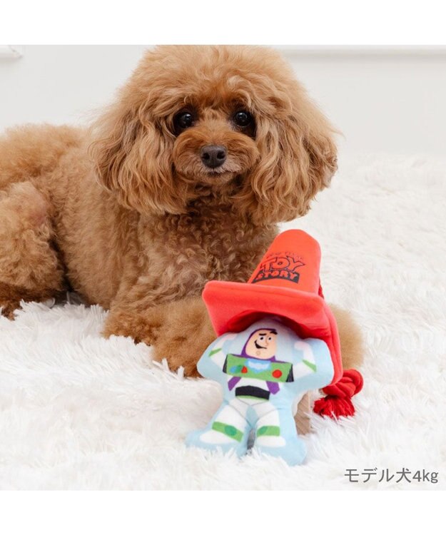 PET PARADISE ディズニー トイ・ストーリー バズ コーントイ レッド