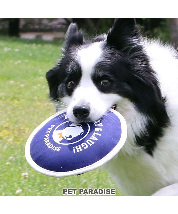 PET PARADISE ペットパラダイス 水に浮く フライングディスク オレンジ
