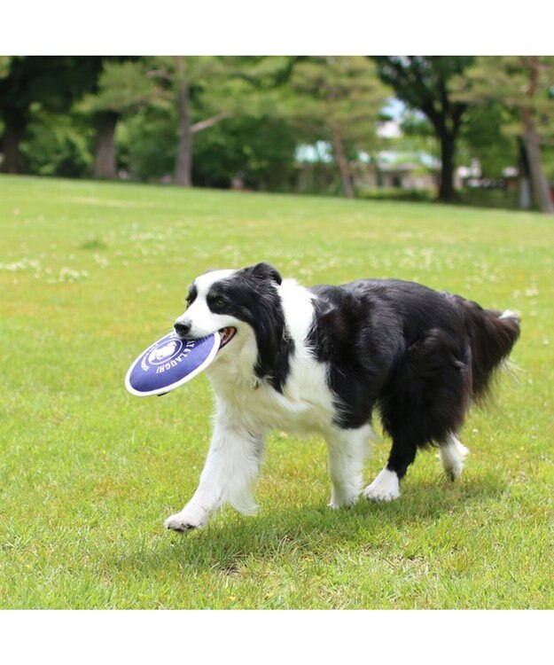 PET PARADISE ペットパラダイス 水に浮く フライングディスク オレンジ
