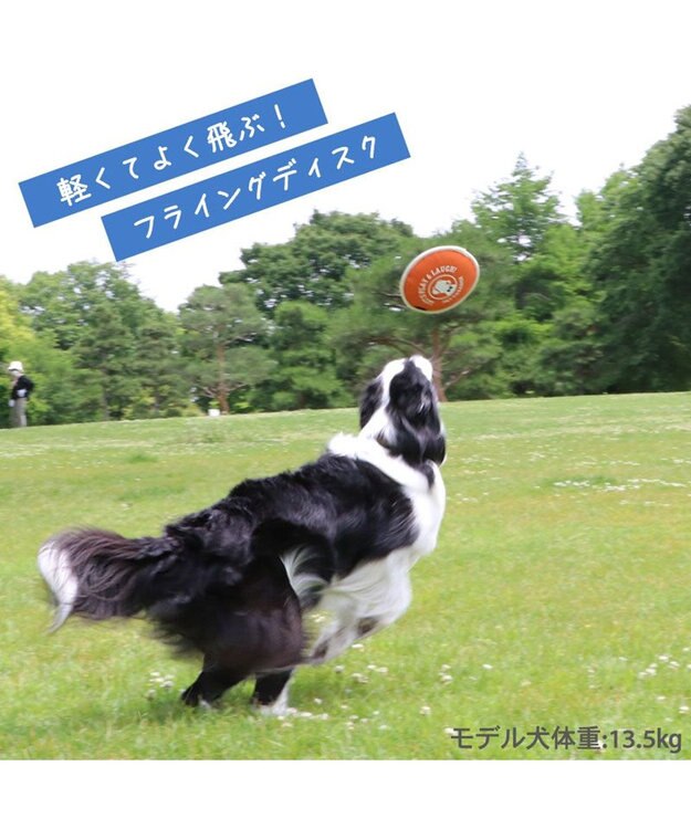 PET PARADISE ペットパラダイス 水に浮く フライングディスク オレンジ