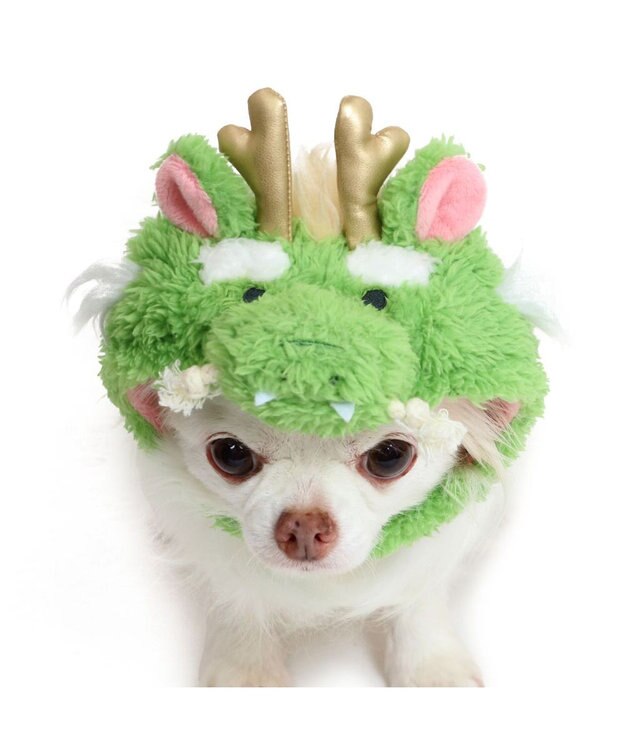 PET PARADISE ペットパラダイス 干支帽子 辰 《グリーン》 小型犬 グリーン