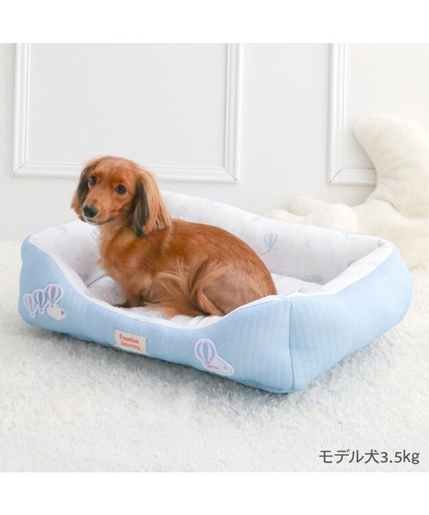 PET PARADISE ペットパラダイス やさしいカドラー  《気球柄》M ライトブルー