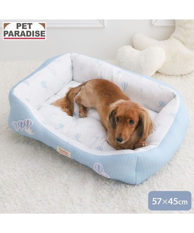 PET PARADISE ペットパラダイス やさしいカドラー  《気球柄》M ライトブルー