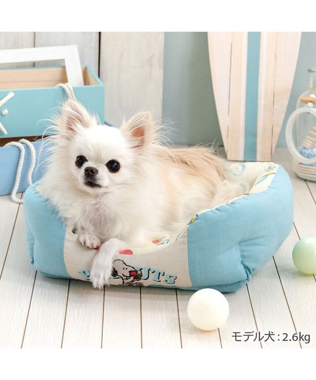PET PARADISE スヌーピー クールカドラー 《アイス柄》 角型 S ホワイト×ブルー