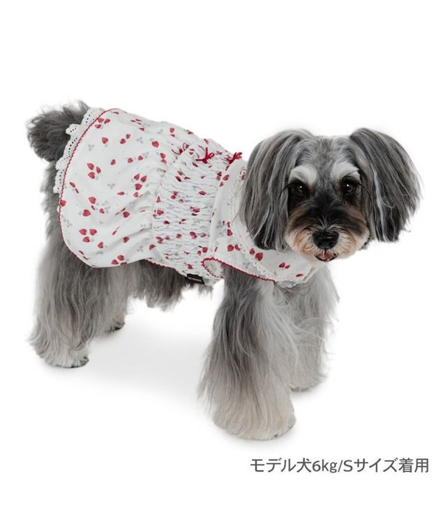 PET PARADISE ペットパラダイス スモッキング ワンピース 《いちご柄》 小型犬 ホワイト×レッド