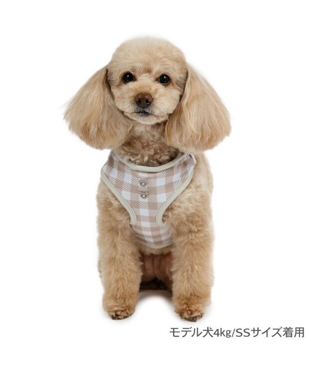 PET PARADISE ペットパラダイス くまちゃん リュック付き ハーネス ３Ｓ 小型犬 ベージュ